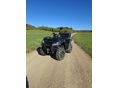 KAWASAKI BRUTE FORCE 300 