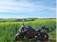KAWASAKI Z 900 2021/10 - 2