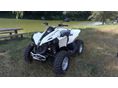 CAN-AM RENEGADE 