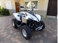 CAN-AM RENEGADE 2013/5 - 2