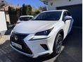 LEXUS NX 300h Prestiege Safety CVT AWD / Magyarországi / Garanciális / Azonnal vihető / Nagyszervíz után /Bordó bőr