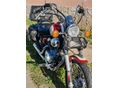 YAMAHA XV 250 (VIRAGO) 2000/7 - 5