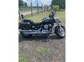 YAMAHA XVS 650 DRAG STAR 2005 - 3