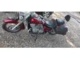 HONDA SHADOW 750 2005/9 - 3