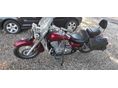 HONDA SHADOW 750 2005/9 - 5