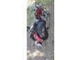 HONDA SHADOW 750 2005/9 - 7