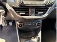 FORD FIESTA 2021/2 - 19