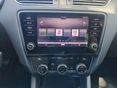 SKODA OCTAVIA 2019/5 - 17