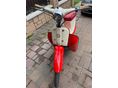 PANNI R 50 