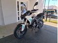MORBIDELLI T502X 2026 - 1