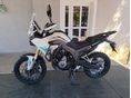 MORBIDELLI T502X 2026 - 2
