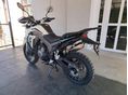 MORBIDELLI T502X 2026 - 3