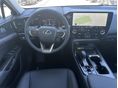LEXUS NX 2026 - 4