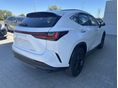 LEXUS NX 2026 - 2