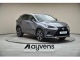 LEXUS NX 2021/11 - 3