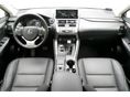 LEXUS NX 2021/11 - 7
