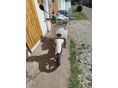 APRILIA SCARABEO 50 2008 - 4