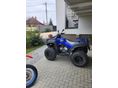 ADLY ATV 300 2010/8 - 4
