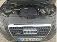 AUDI Q5 2009/6 - 6