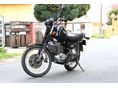 MZ ETZ 251 1989/6 - 4