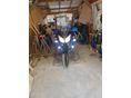 SUZUKI DL 650 