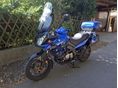 SUZUKI DL 650 