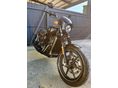 HARLEY-DAVIDSON STREET 750 2015/8 - 8
