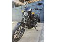 HARLEY-DAVIDSON STREET 750 2015/8 - 9