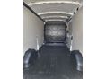 FORD TRANSIT 2026 - 6