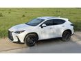 LEXUS NX 2023/9 - 12