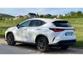 LEXUS NX 2023/9 - 11