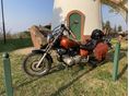 YAMAHA XV 250 (VIRAGO) 