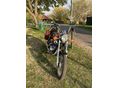 YAMAHA XV 250 (VIRAGO) 1995/1 - 2