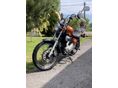 YAMAHA XV 250 (VIRAGO) 1995/1 - 6