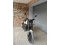 BENELLI LEONCINO 250 2020 - 3