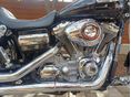 HARLEY-DAVIDSON DYNA 2008/6 - 3