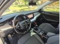 SKODA OCTAVIA 2021/1 - 9