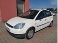 FORD FIESTA 2004/1 - 1