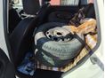 FORD FIESTA 2004/1 - 5
