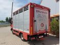 IVECO 2018/11 - 4