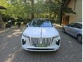 HONGQI E-HS9 2023/1 - 8