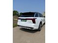 HONGQI E-HS9 2023/1 - 9