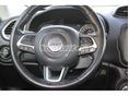 JEEP RENEGADE 2015/8 - 10