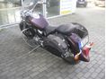 YAMAHA XVS 1100 A DRAG STAR 2007/3 - 4