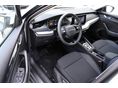 SKODA OCTAVIA 2026/4 - 4