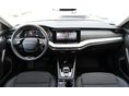 SKODA OCTAVIA 2026/4 - 6