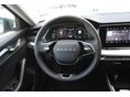 SKODA OCTAVIA 2026/4 - 8