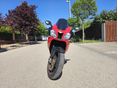 APRILIA RSV 1000 2005/12 - 2