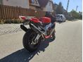 APRILIA RSV 1000 2005/12 - 4