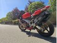 APRILIA RSV 1000 2005/12 - 5